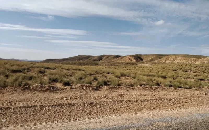 Mafia foncière : Appel au roi Mohammed VI