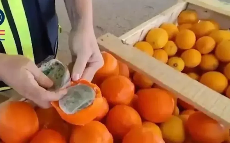 Ce qui se cache dans ces "oranges" a surpris la police
