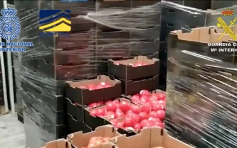Du haschich marocain dans des tomates saisi en Espagne