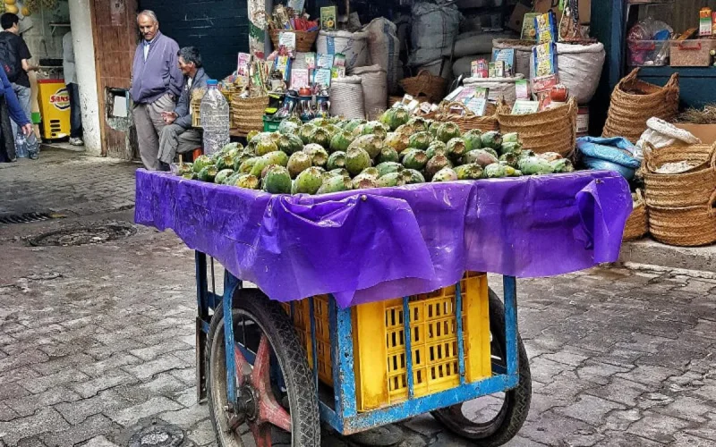 La figue de barbarie, nouveau fruit de luxe au Maroc