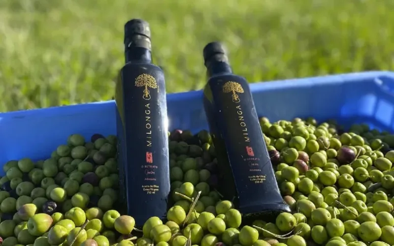 De l'huile d'olive brésilienne pour le Maroc
