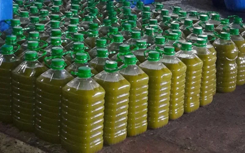 Maroc : fraude à l'huile d'olive