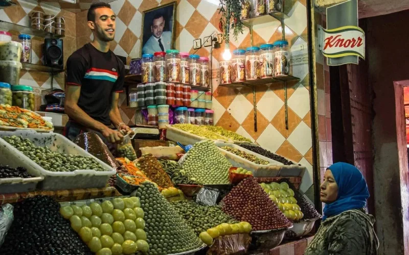 Huile d'olive marocaine : fausses rumeurs sur un renvoi de cargaisons contaminées d'Europe