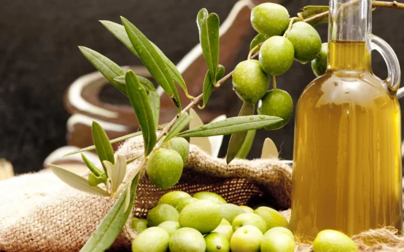 Le Maroc absent du Top 10 des meilleures huiles d'olive au monde