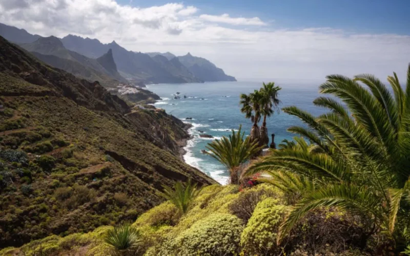 Une étude révèle l'origine marocaine des îles Canaries