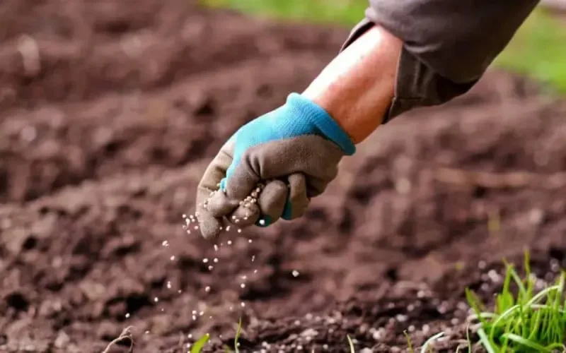 L'Inde vient chercher de l'engrais au Maroc