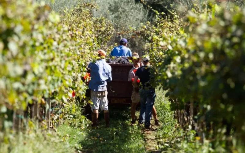 L'Italie offre des permis de travail aux Marocains, voici les secteurs concernés