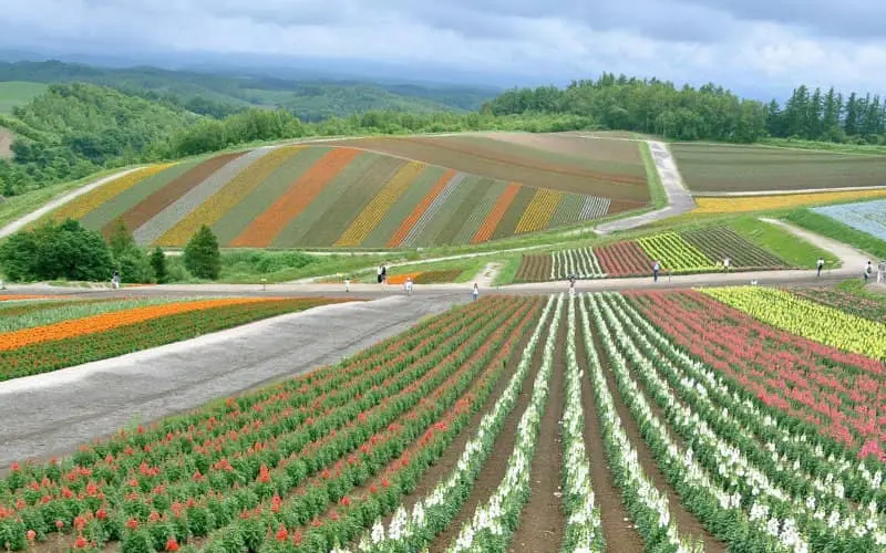 Approvisionnement en phosphate : le Japon s'oriente vers le Maroc