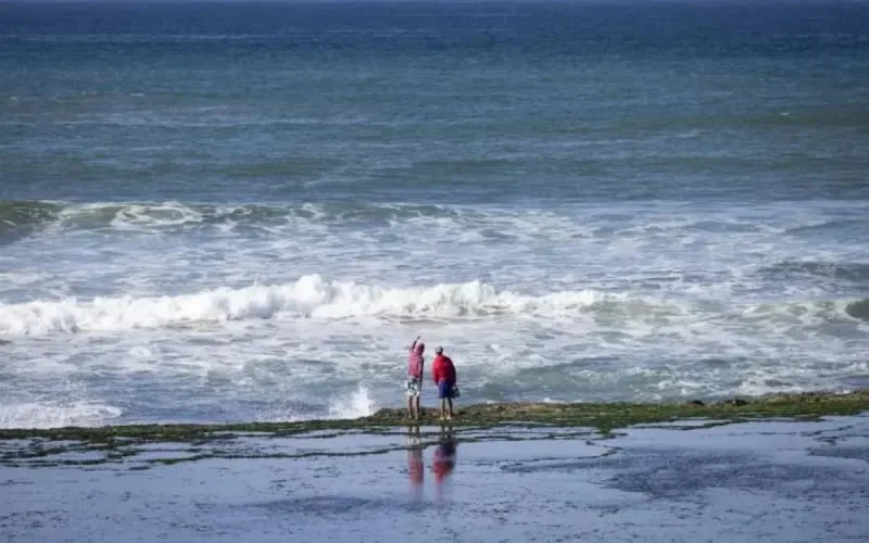 Les raisons de l'exode des Marocains aux Pays-Bas