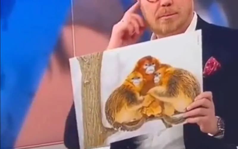 Une chaîne danoise compare les joueurs marocains et leurs mères à des singes 