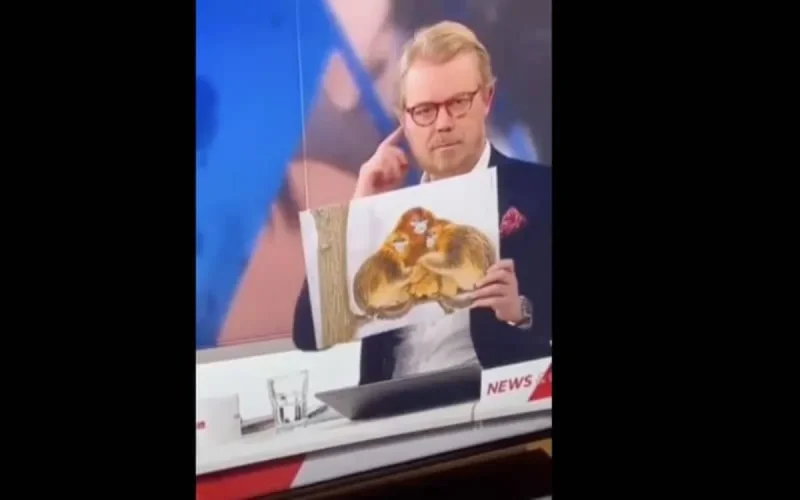 Joueurs marocains comparés à des singes : une chaine danoise s'excuse