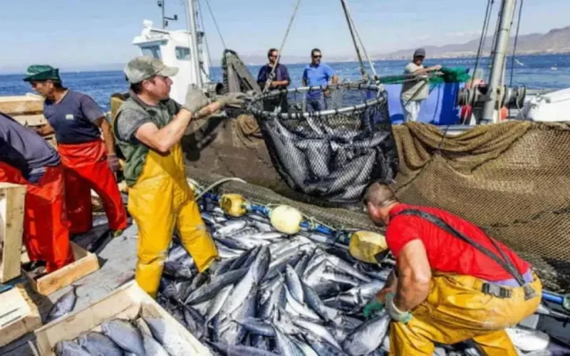 Accords de pêche avec l'UE : la justice rend une décision défavorable pour le Maroc 
