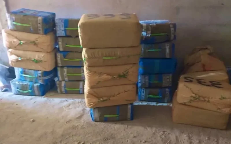 Laâyoune : trois arrestations et grosse saisie de cannabis