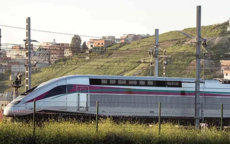 TGV Casablanca-Agadir : la France évincée par l'Allemagne ? 
