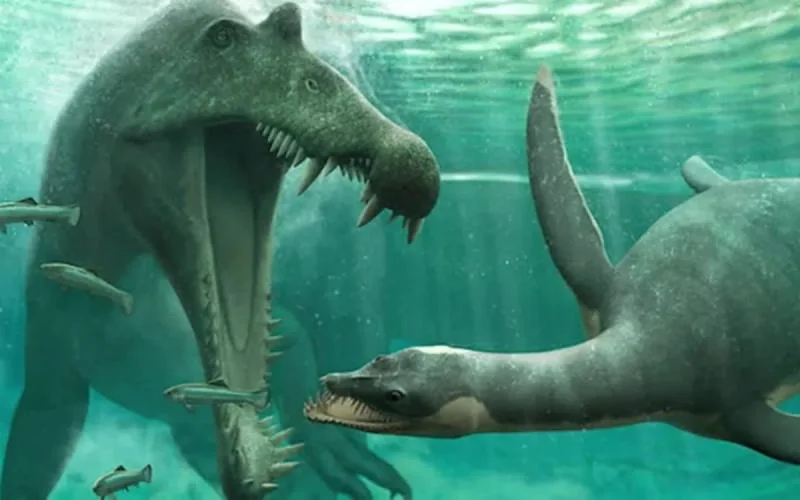 Une découverte au Maroc nous éclaire sur le Loch Ness