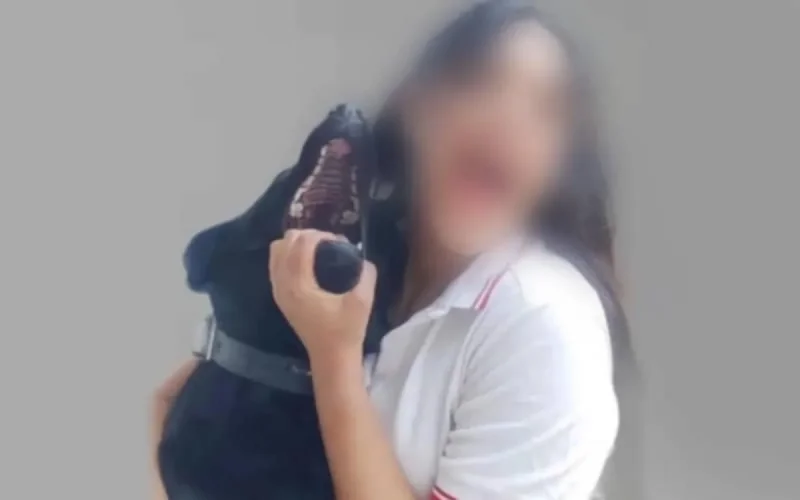 Chat tué par un chien à Fès : la maîtresse risque gros 