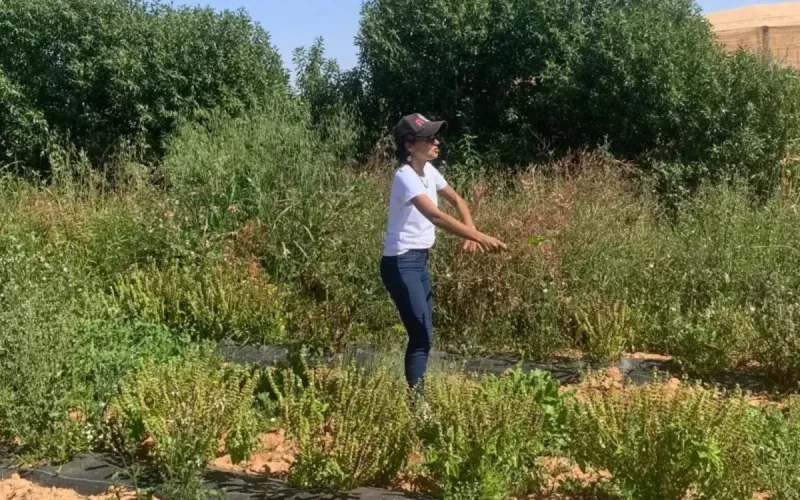 Une entreprise marocaine fait fleurir le désert