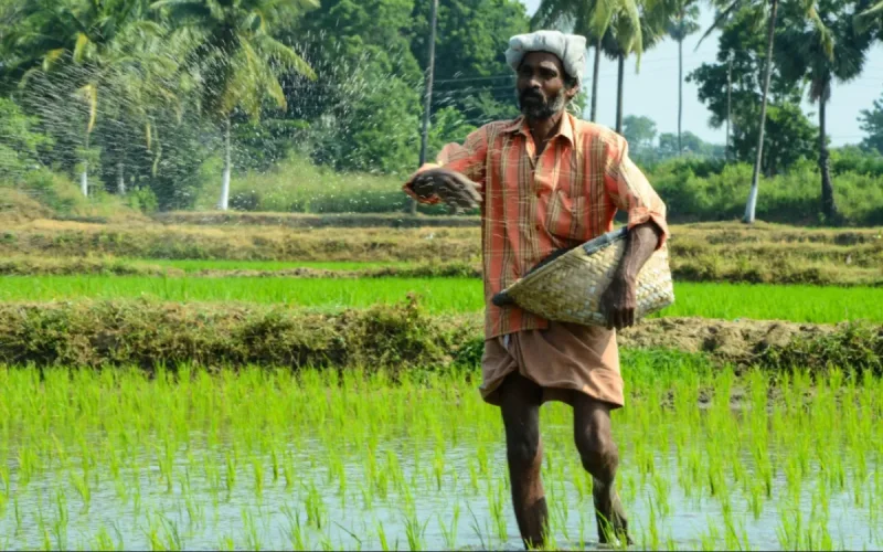 L'Inde appelle le Maroc à la rescousse pour sauver ses récoltes