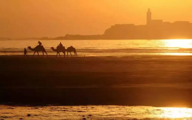 Le Maroc face à une nouvelle vague de chaleur, jusqu'à 48 degrés prévus