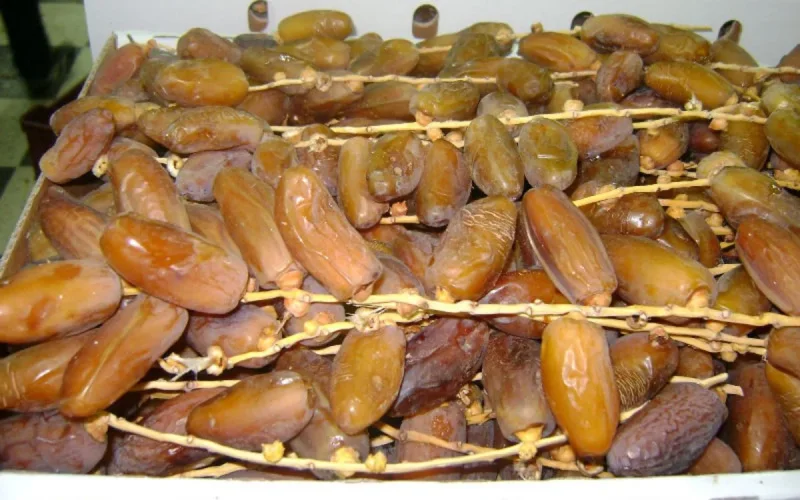 Alerte aux fausses dattes “marocaines”