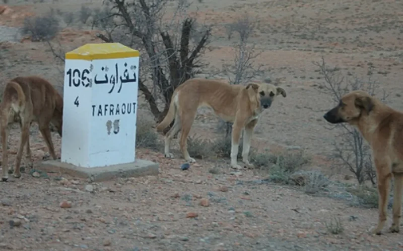 Maroc : alerte de la Grande-Bretagne