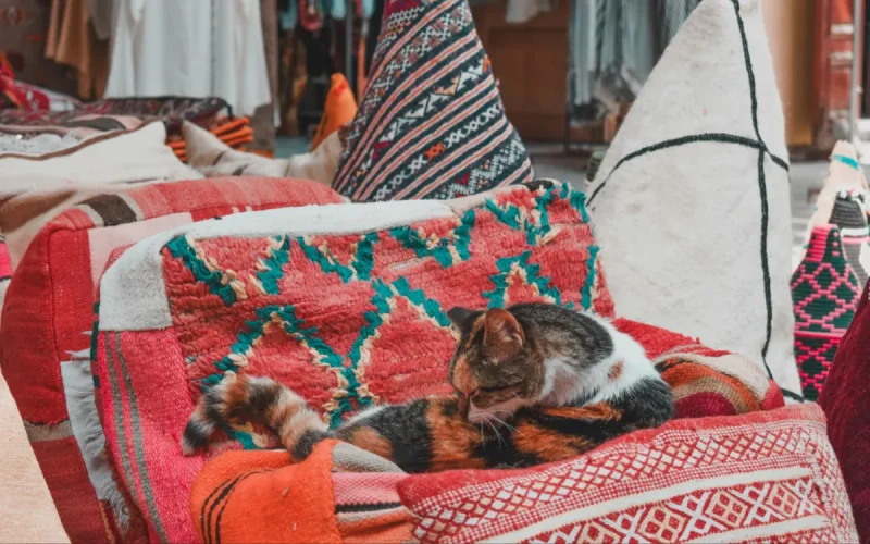 Attention au réveil ! Le Maroc repasse à l'heure GMT+1 ce dimanche