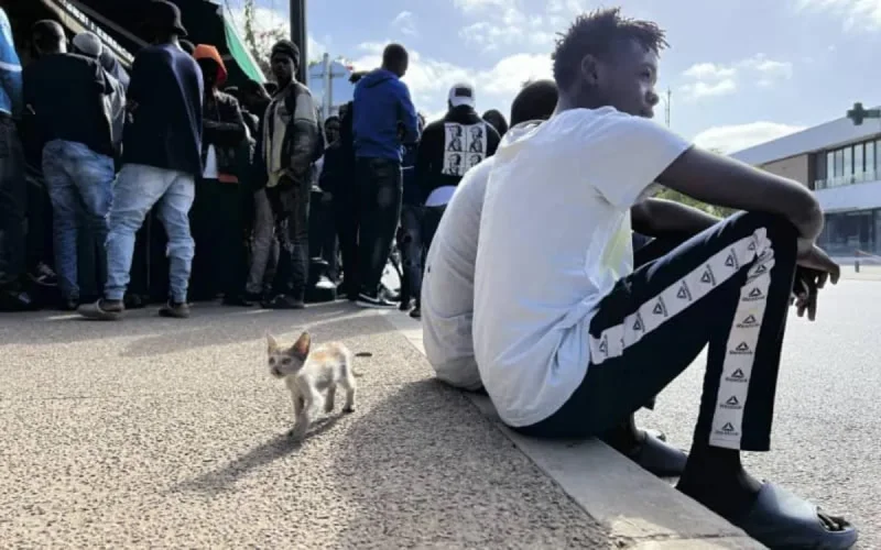 Une ONG espagnole dénonce le « racisme institutionnel » envers les migrants au Maroc