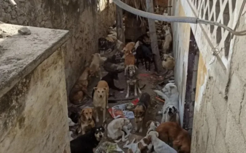 Violente charge de personnalités britanniques contre le Maroc