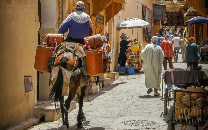 La dépression pourrait coûter plus de 21 milliards de dollars au Maroc