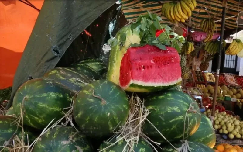 Le Maroc limite la production de pastèque
