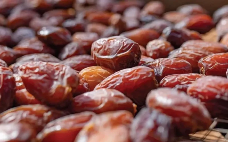 Les objectifs ambitieux du Maroc pour la culture de dattes 