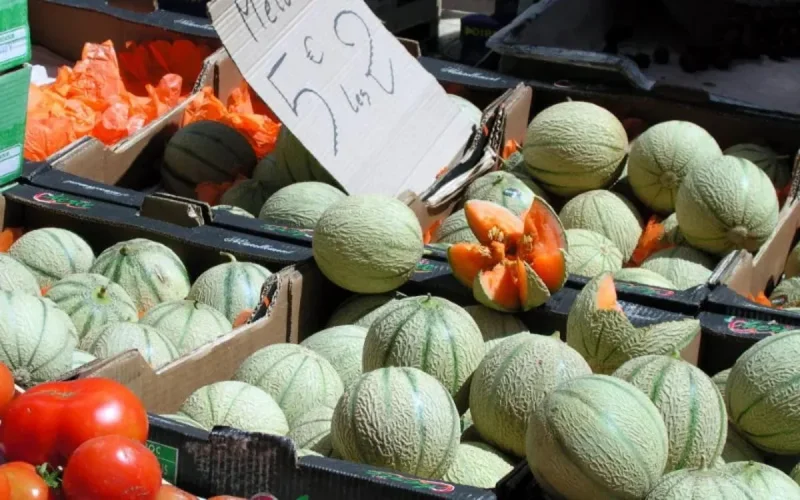 Le Maroc plus fort que la France sur le marché mondial du melon