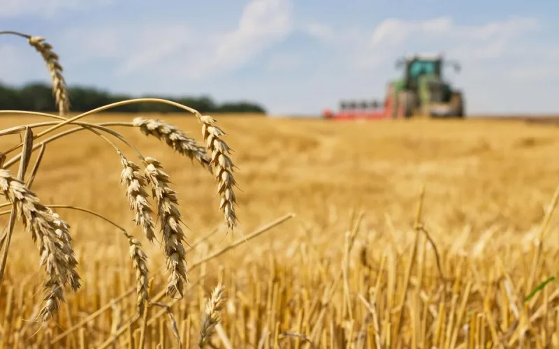 La sécheresse pousse le Maroc à dépendre de la France