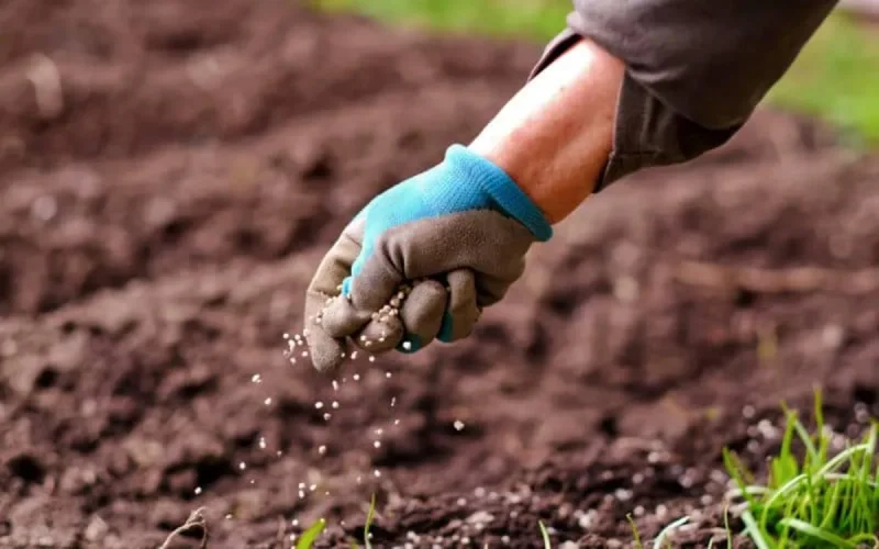 Vers un répit pour les engrais marocains aux États-Unis ?