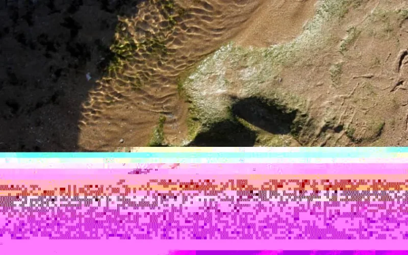 Découverte d'empreintes de dinosaures de grandes tailles à Imilchil 