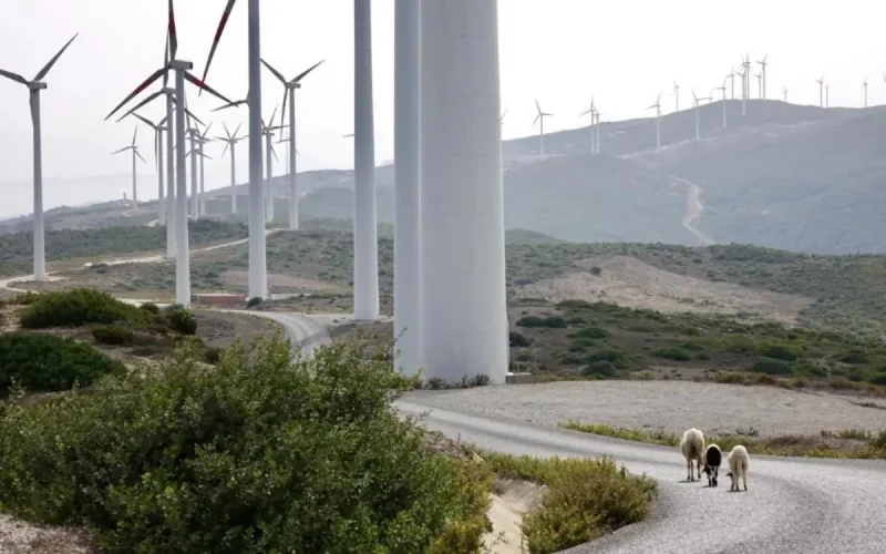 Changement climatique : le Maroc parmi les leaders mondiaux