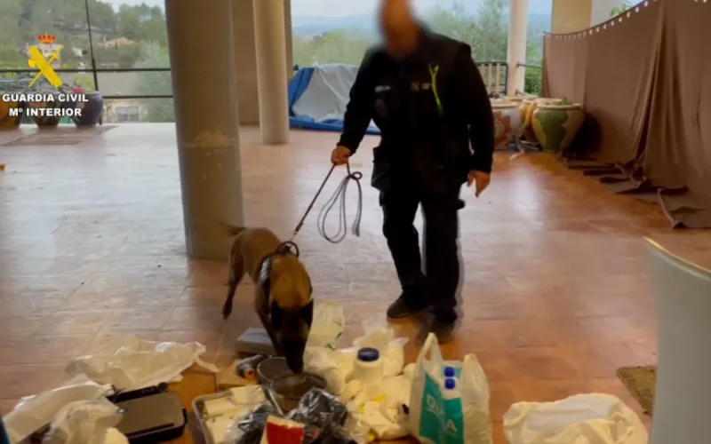 Entre le Maroc et l'Espagne, du haschisch contre la cocaïne