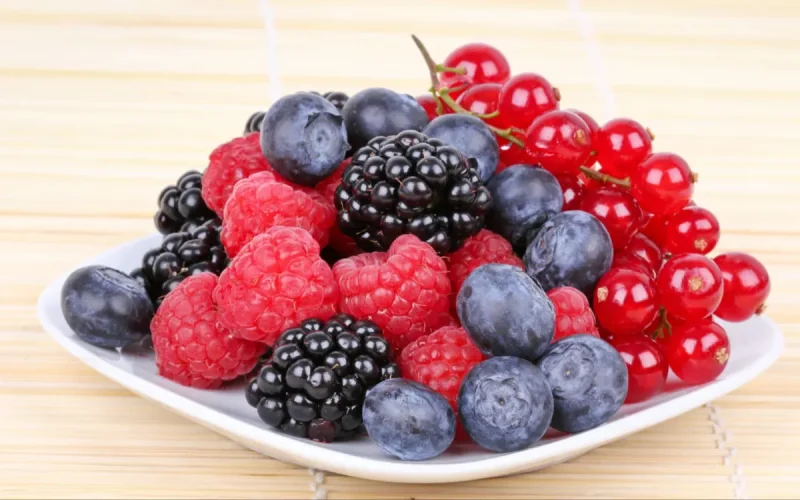 Pénurie de fruits rouges en Europe : le Maroc pointés du doigt