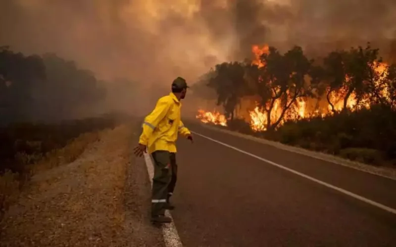 Maroc : la sécheresse et la canicule, un cocktail explosif pour les feux de forêt