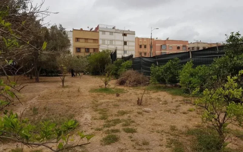 Maroc : des fraudes foncières en marge de la Coupe du monde