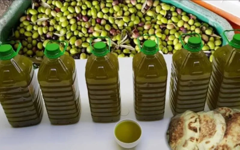 Huile d'olive : 6 500 litres saisis, la traque aux produits frelatés s'accélère dans le Nord du Maroc