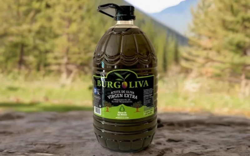 Cherté de l'huile d'olive au Maroc : L'importation pour faire baisser les prix ?