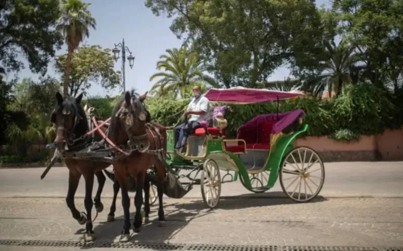 Le Maroc va investir plus de 600 MDH dans le tourisme en 2022