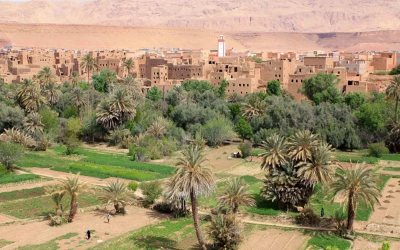 Maroc : Un must-see africain en 2024