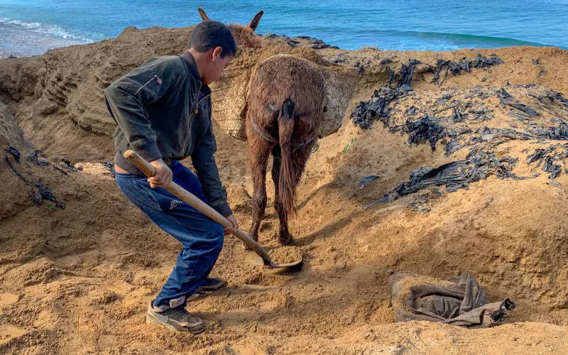 Maroc : le pillage des plages continue
