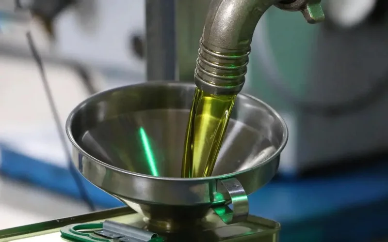 Dans le nord du Maroc, les pressoirs à huile d'olive dans le viseur de l'État