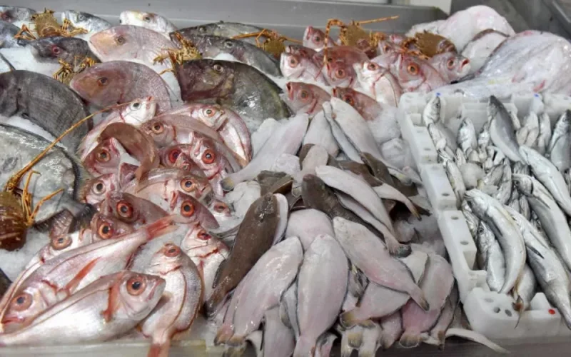 Le prix du poisson s'envole au Maroc