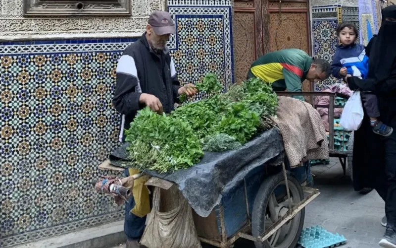 Maroc : les rues débordent de marchands ambulants