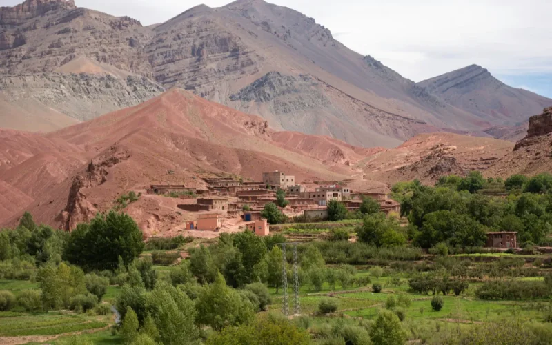 Santé : le Maroc classé numéro 1 mondial pour le système immunitaire