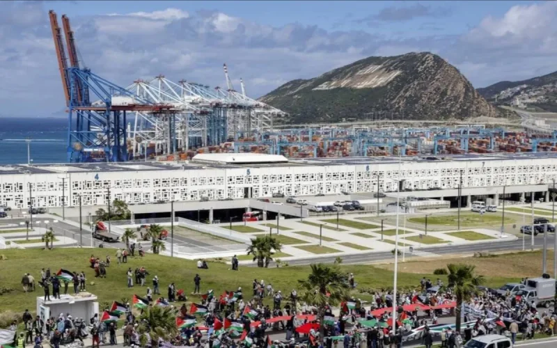 Rapport d'Amnesty : les dockers marocains érigés en symbole de résistance